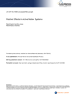 Ratchet Effects in Active Matter Systems