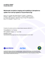 Multimodal correlative imaging and modelling of phosphorus uptake from soil by hyphae of mycorrhizal fungi