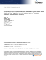 Understanding the Eco‐Geomorphologic Feedback of Coastal Marsh Under Sea Level Rise: Vegetation Dynamic Representations, Processes Interaction, and Parametric Sensitivity