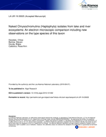 Naked Chrysochromulina (Haptophyta) isolates from lake and river ecosystems: An electron microscopic comparison including new observations on the type species of this taxon