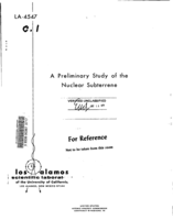 Preliminary Study of the Nuclear Subterrene