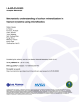Mechanistic understanding of carbon mineralization in fracture systems using microfluidics